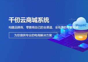 軟件產(chǎn)品與基礎(chǔ)軟件服務(wù) 驅(qū)動(dòng)數(shù)字化轉(zhuǎn)型的雙引擎